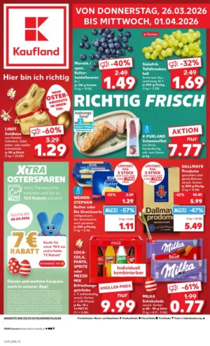 Kaufland Prospekt Cover – Kaufland Prospekt